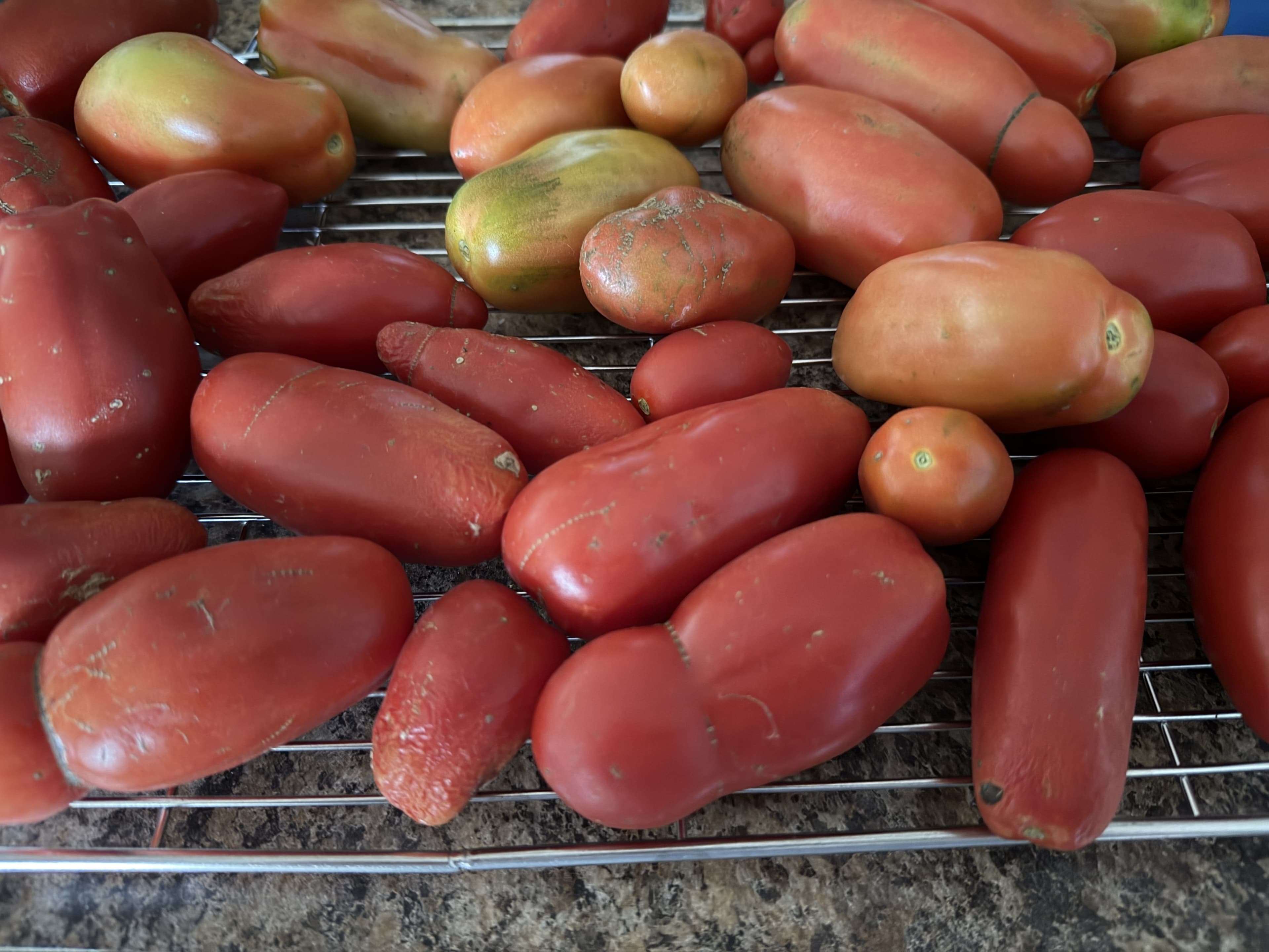 San Marzano Tomatoes (lb)